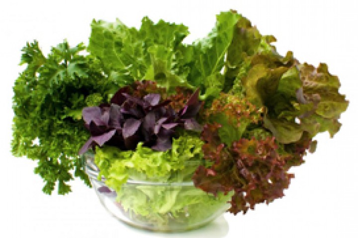leafy vegetables green leafy vegetable